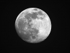 moon_11192010